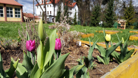 Nasz #OgródZKlasą zakwitł na wiosnę! 