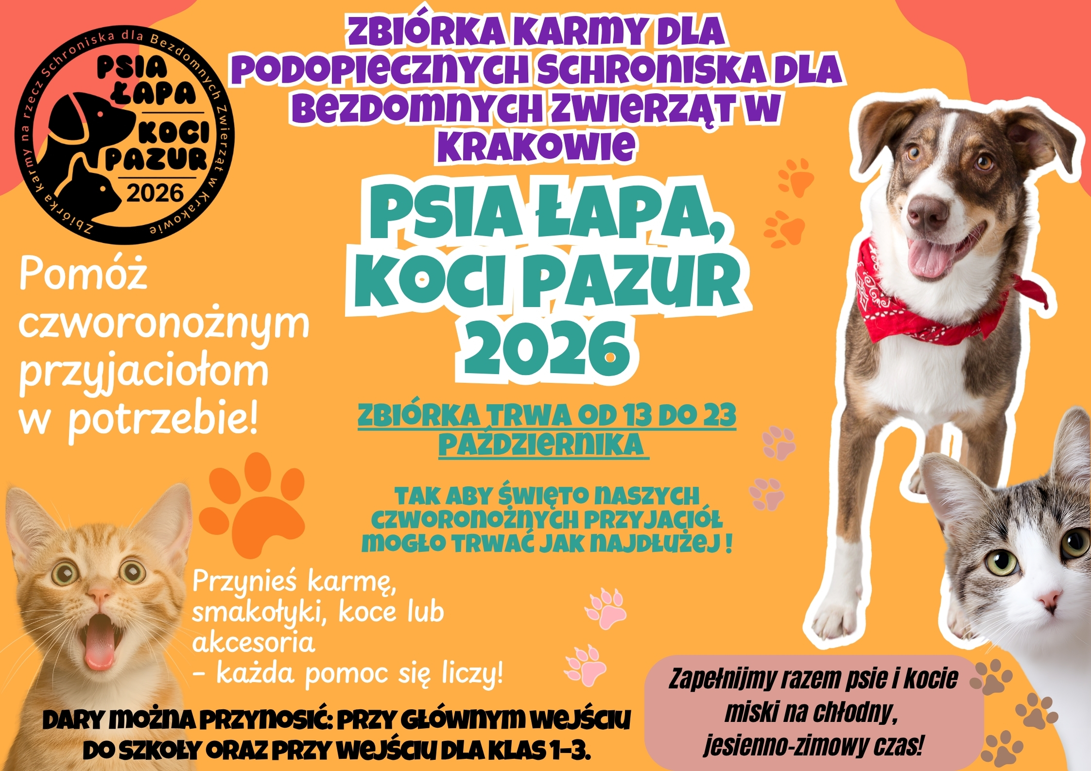 PSIA%20%C5%81APA%20KOCI%20PAZUR