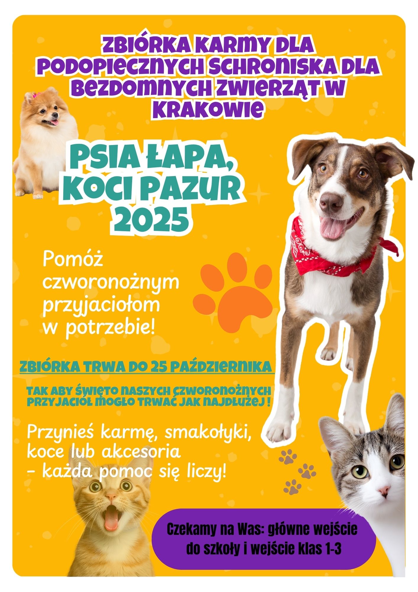 Zbi%C3%B3rka%20Psia%20%C5%82apa%2C%20koci%20pazur%20do%2025.10.