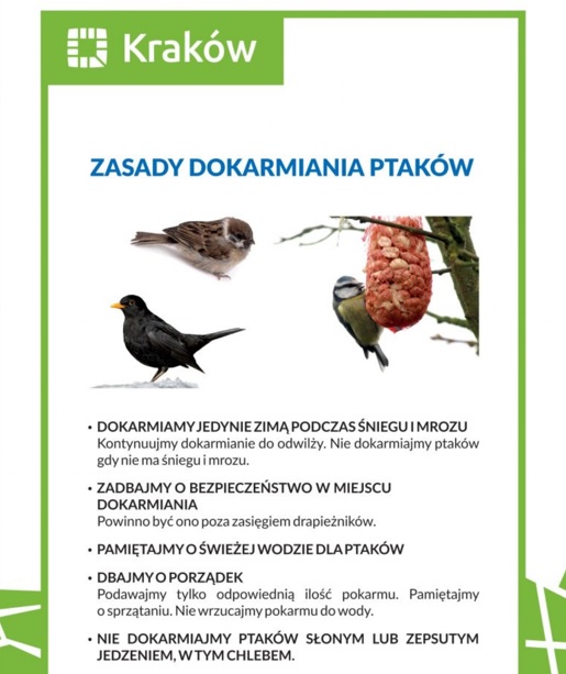 ptaki1