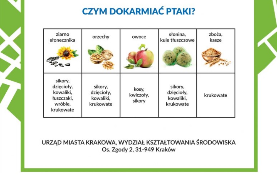 ptaki2