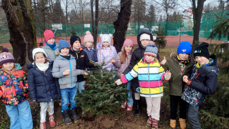 Jodełka klasy 1a dostała drugie życie