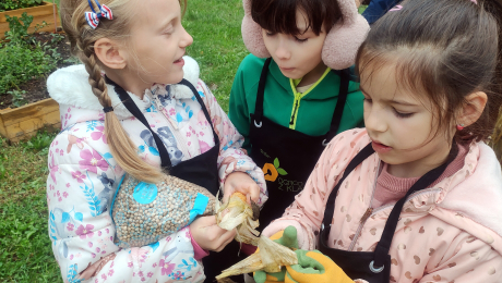 W #OgródZKlasą trwają jesienne prace porządkowe