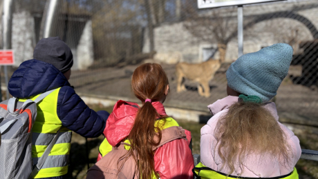 Rola współczesnych ogrodów zoologicznych w ochronie gatunków zagrożonych wy